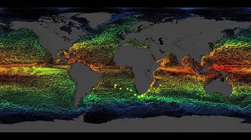 Global Sea Surface Currents and Temperature