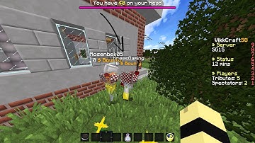 KreesGaming Hacks On Vikkcraft