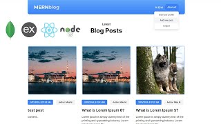 Blog App Showcase (MERN Stack - JWT Authentication, Multer upload)