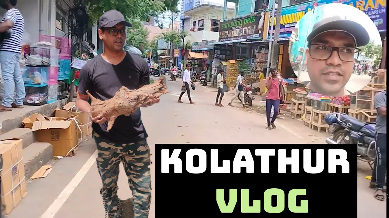 CHENNAI KOLATHUR VLOG TAMIL YouTube