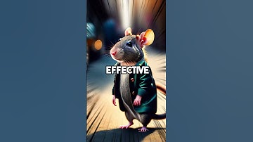 Crazy History Facts You Wont Learn Anywhere Else Part 5! #history #shorts