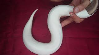 Ball python 2019 holdbacks part1