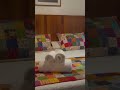 🏡 Chalé 21 | Espaço, aconchego e charme no campo