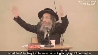 "Do you know the power of Tu B'Shvat??" | Rav Meilech Biderman
