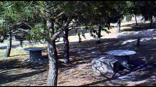 video montesa cota 247