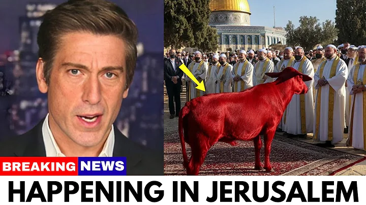Third Temple Update: Perfect Red Heifer Approved, First Stone to Be Laid Soon!