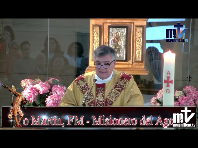 La Santa Misa de hoy |Séptimo Domingo de Pascua - Ascensión |12-05-2024 |  P. Santiago Martín, FM class=