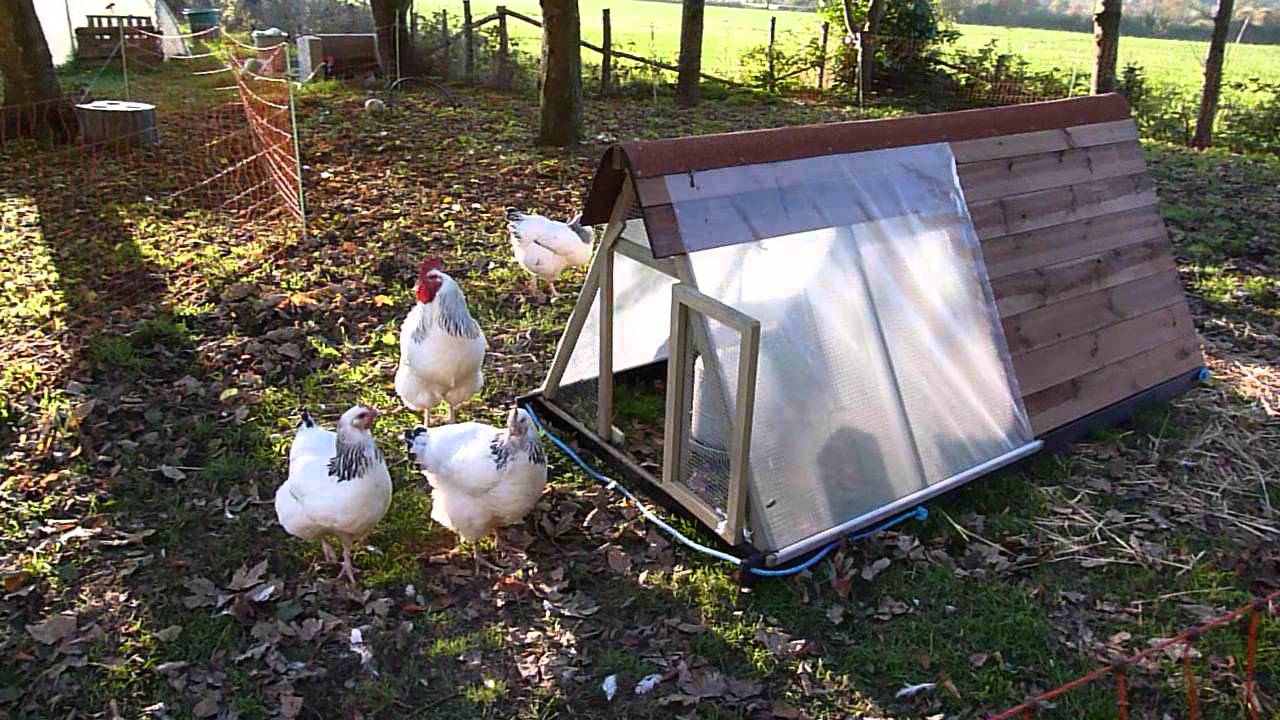 Poulailler Mobile Avec Filet électrique Poulailler Arao