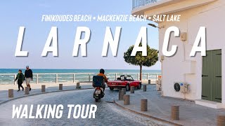 Larnaca Walking Tour February 2024 - Salt Lake Finikoudes Mackenzie beaches