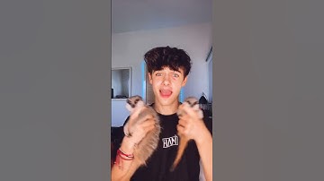 Kyle Thomas 💙 meerkat edition 🥰 #kylethomas #shorts