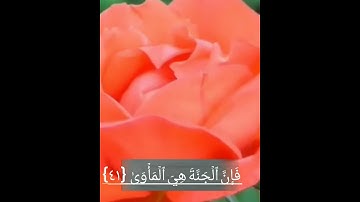 سورة النازعات من آية (٣٧) إلى (٤١)|القارئ اسلام صبحي