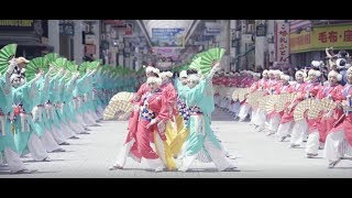 2019 ほにやよさこい（HONIYA YOSAKOI）