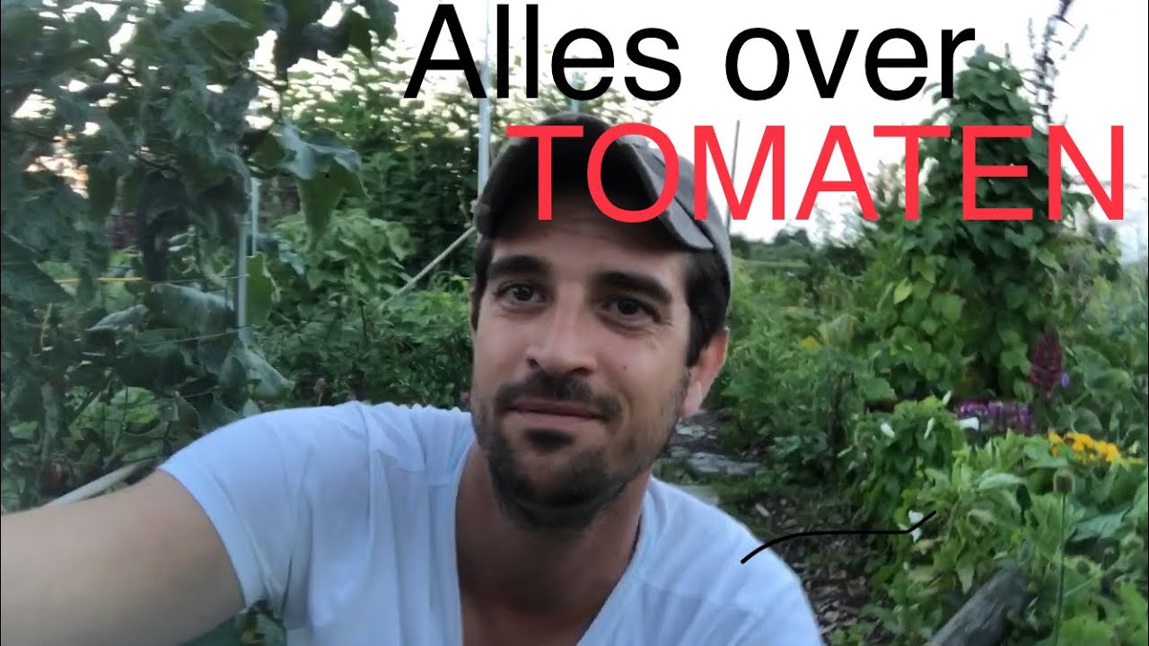 Alles over het kweken van Tomaten!!