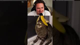 lol funny memes
lol funny memes lol funny memes