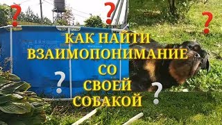 КАК ЗАВОЕВАТЬ ДОВЕРИЕ У РОТВЕЙЛЕРА КАК ЗАВОЕВАТЬ ДОВЕРИЕ У РОТВЕЙЛЕРА