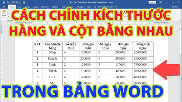 Cách chỉnh kích thước hàng cột đều nhau trong bảng word