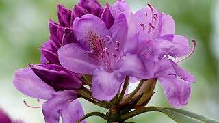 Celebrity Behind every strong woman is herself  Profile