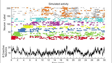 Cluster Detection Algorithm in Raster Plot