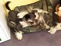 Tis nooit te heet om te spelen hoor!