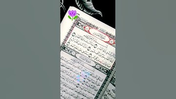 سورة القدر 🌜بصوت رائع 🌜وجميل