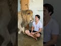 #lion #meet #video #viralvideo
