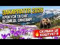 ЗАКАРПАТТЯ 2026 Від засніжених вершин до моря крокусів Ведмеді Синевир та ЦІНИ Весняний тур ЗАКАРПАТТЯ 2026 Від засніжених вершин до моря крокусів Ведмеді Синевир та ЦІНИ Весняний тур
