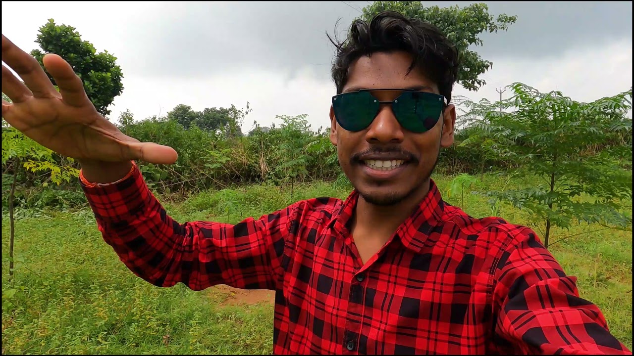 Vlog made at Agroforestry field Torpa Ranchi Jharkhand