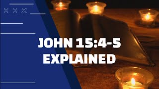 MORE THAN A VINE | UNPACKING THE MEANING OF JOHN 15:4-5