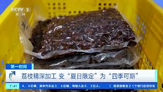 [第一时间]荔枝精深加工 变“夏日限定”为“四季可期”| 财经风云