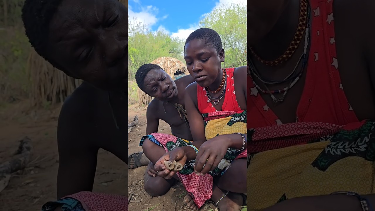 no baboon intestine for chaabaa today guys 