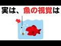 【９割の人は知らない】誰かに話したくなる魚の視覚とハリスに関する雑学