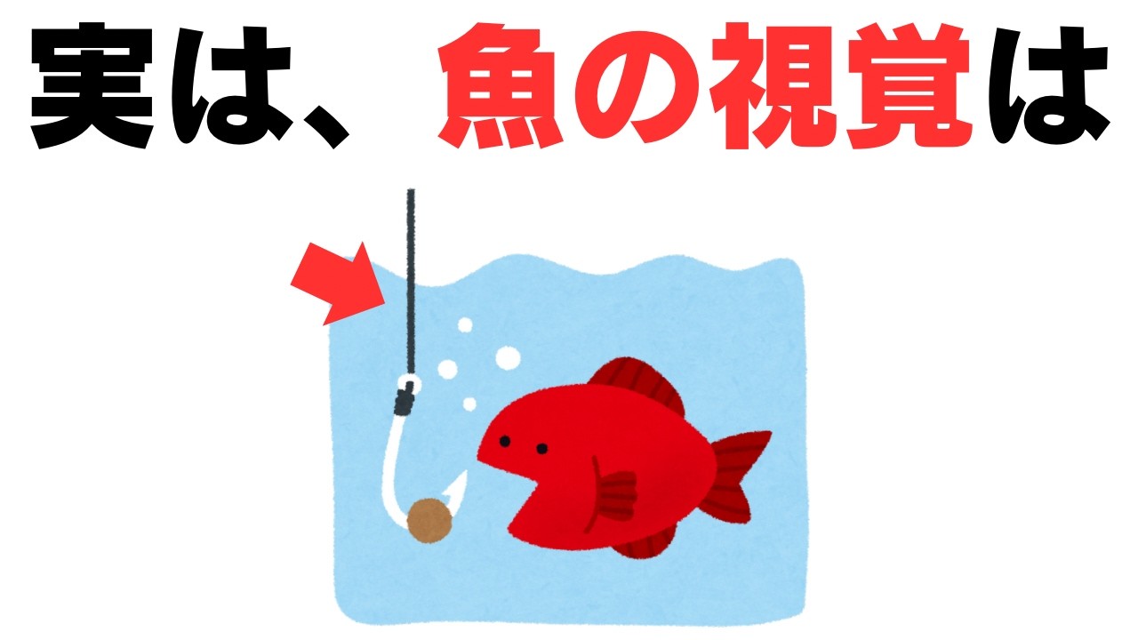 90% of people don't know] Trivia about fish vision and line that