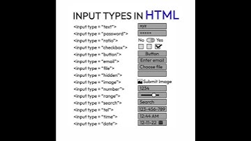 Form input types 🔥🔥|| #shorts #htmlcss