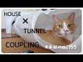 本日のぬこ155【猫トンネルを猫ハウスに連結】