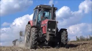 Orka pod rzepak. Massey Ferguson 3610 & Overum Overum CV 498 H