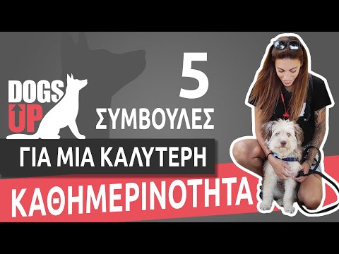 Βίντεο: 5 Συμβουλές για την ασφαλή διατήρηση του σκύλου σας στο αποκριές