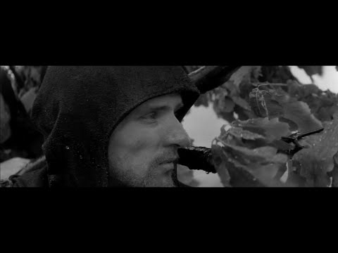 Котёнок (Kitten) by Деревянные киты (Wooden Whales)—Homemade Music Video