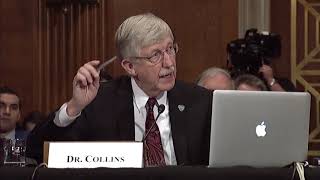 Senator Warren asks NIH Director about Increasing Funding for Biomedical Research