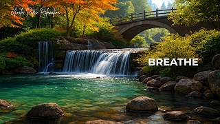 Beautiful Night Music to Soothe Anxiety and Guide You into a World of Peaceful Dreams