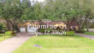 12511 Palomino Ct Tampa 33626