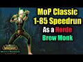 Monk 1-85 Speedrun in MoP Classic