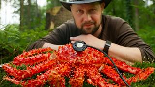 I Put a Contact Mic on a Giant King Crab [ASMR]