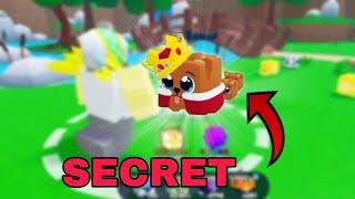 Catching Secret Pet On Camera | Pet Catchers | Royal Doggy