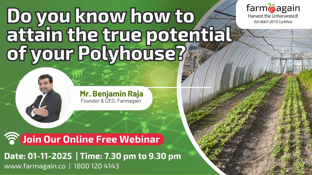 Do you know how to attain the true potential of your Polyhouse?