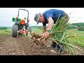 Undercutter Saves Time & Effort Harvesting Your Root Crop!