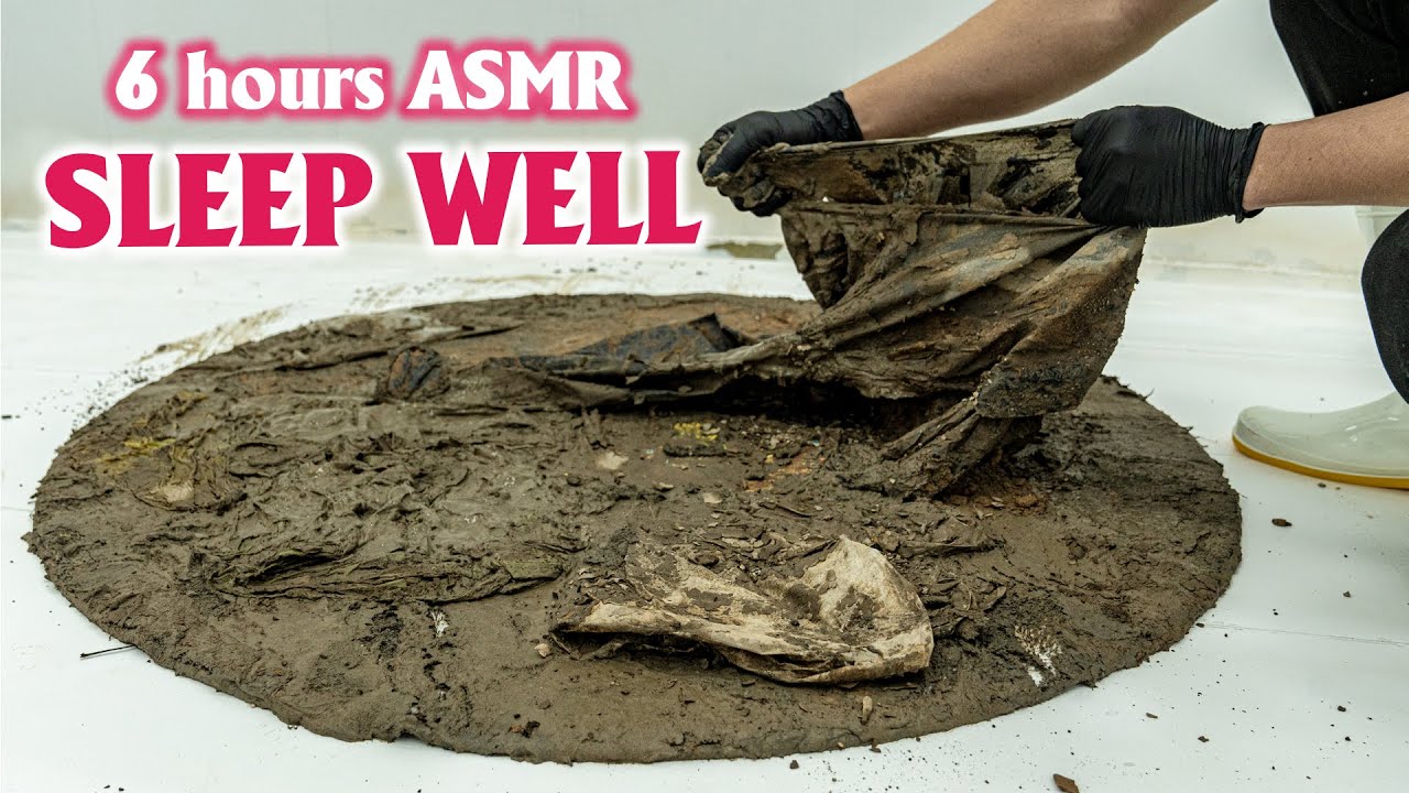 6 Hours of Satisfying Carpet Cleaning Sounds – Sleep Deeply and Stress-Free - ASMR Sleep