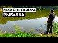 МОЯ МАЛЕНЬКАЯ РЫБАЛКА НА НАШЕМ ЛЕСНОМ ПРУДУ