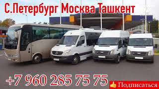 Москва Ташкент такси