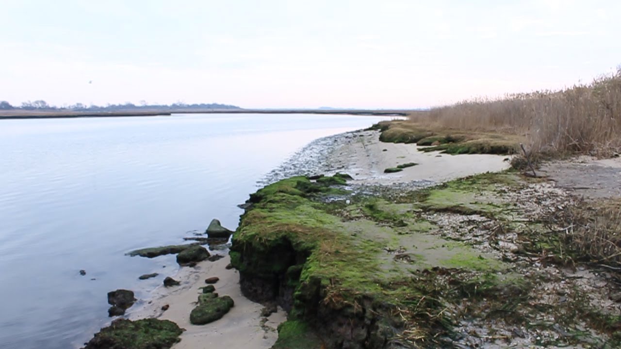 2. Just Your Average Investigation