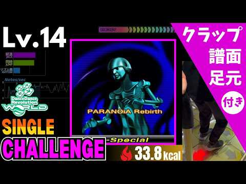 【DDR WORLD】Lv.14 PARANOiA Rebirth(X-Special) / 190'（CSP）【譜面＋足元＋クラップ】